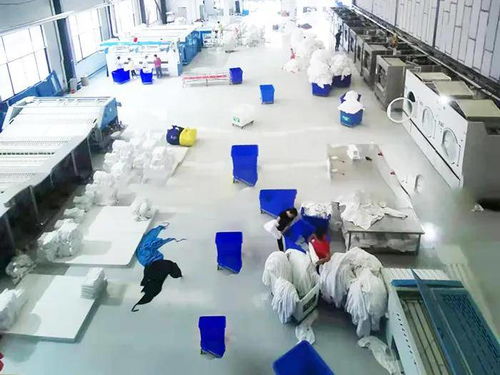 蒸汽源機選對，洗滌廠高效省錢的關鍵 聚焦建筑物清潔服務