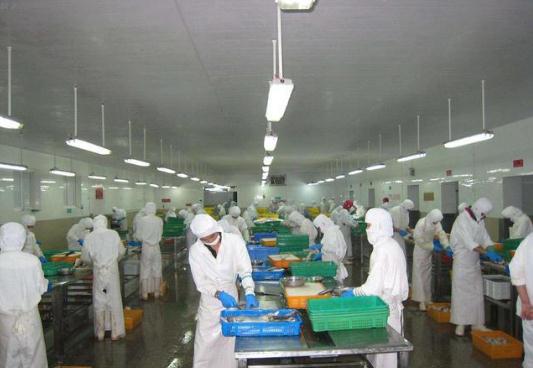 濰坊遠航環保 專業打造速凍食品廠清洗廢水處理設備與建筑物清潔服務解決方案